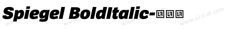 Spiegel BoldItalic字体转换